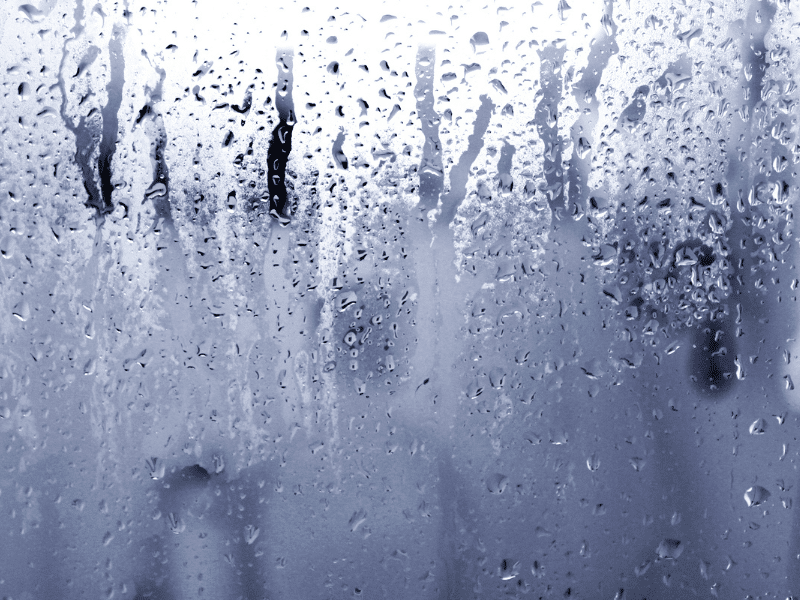 Managing Humidity in Your Florida Home | Integrity Home Solutions